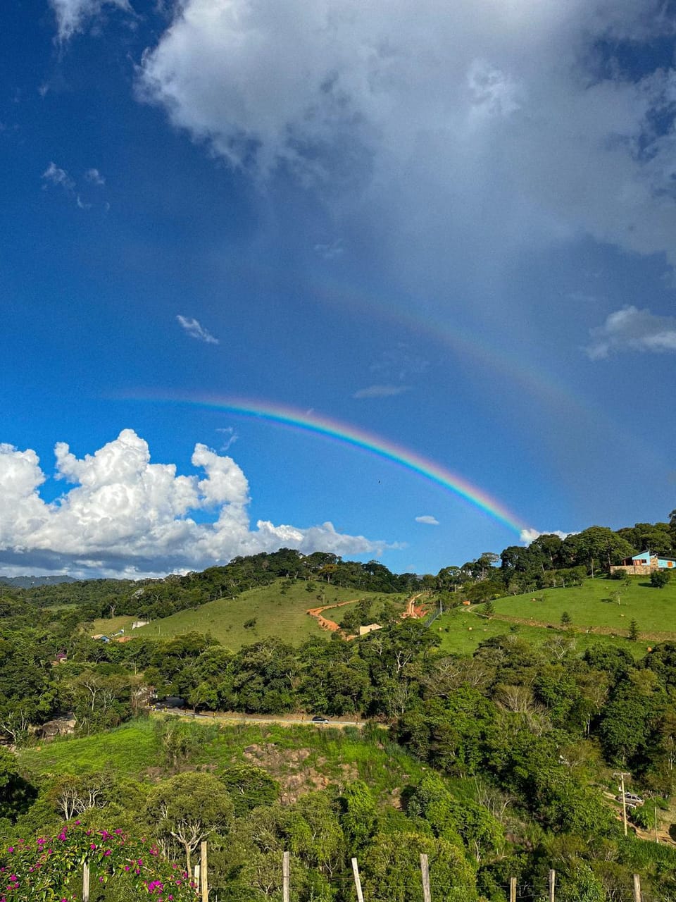 Mountain view