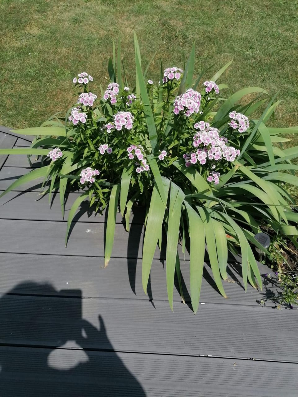 Garden, Garden view