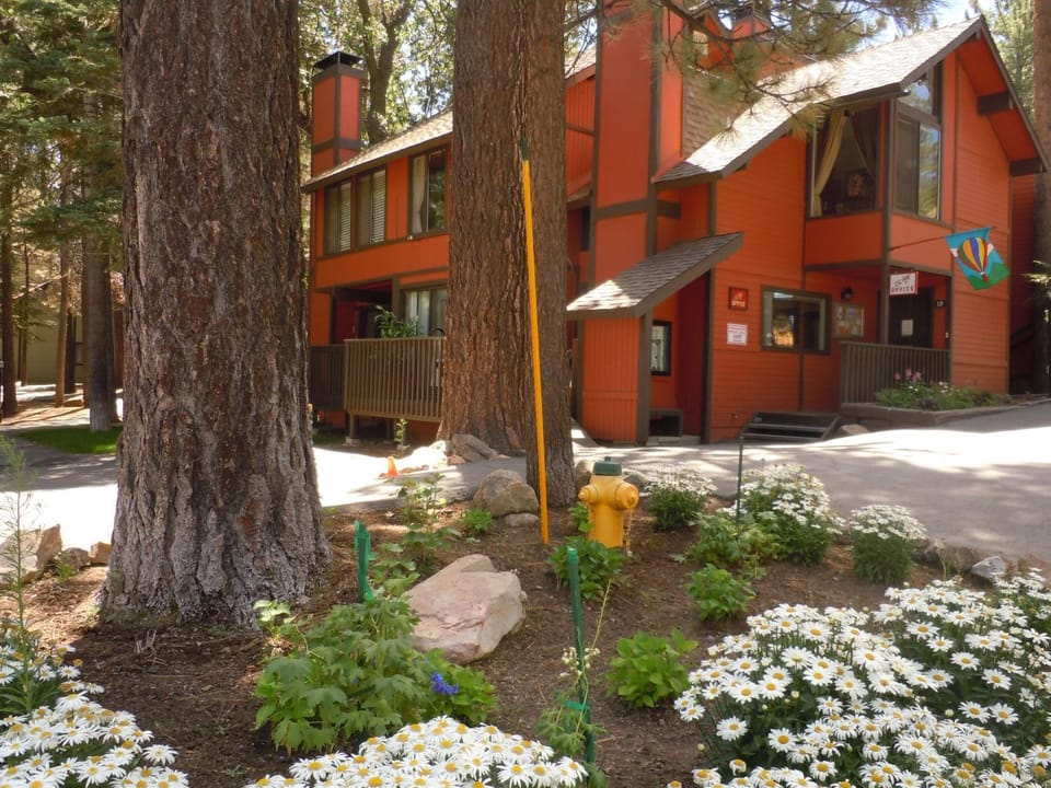Escape For All Seasons Unit 05 House in Big Bear