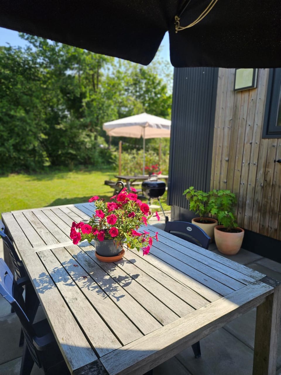 4 Persoons Chalet in het Drents Friese Wold Camping de Reeënwissel Chalet in Drenthe (province)