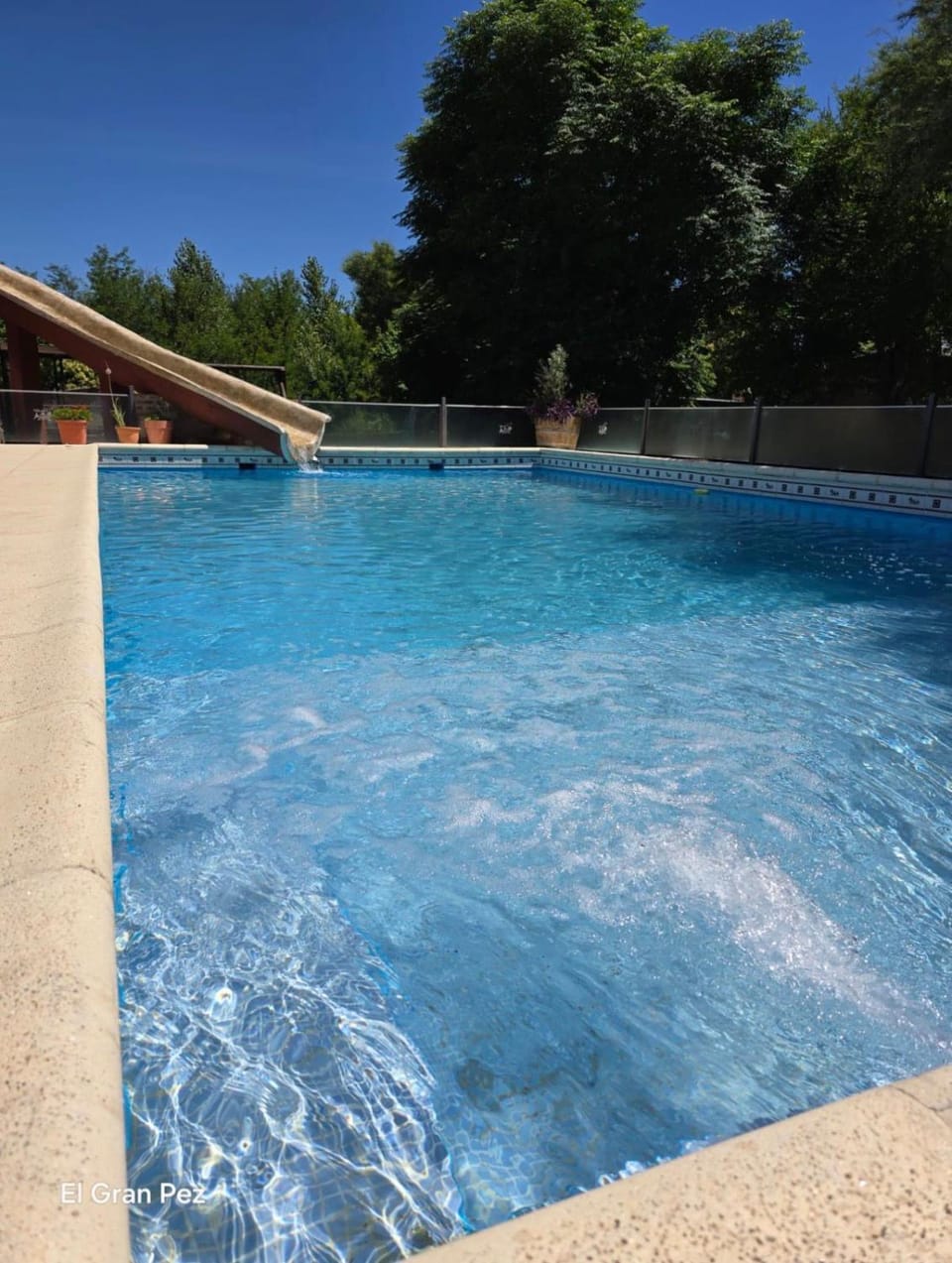 Swimming pool, Swimming pool