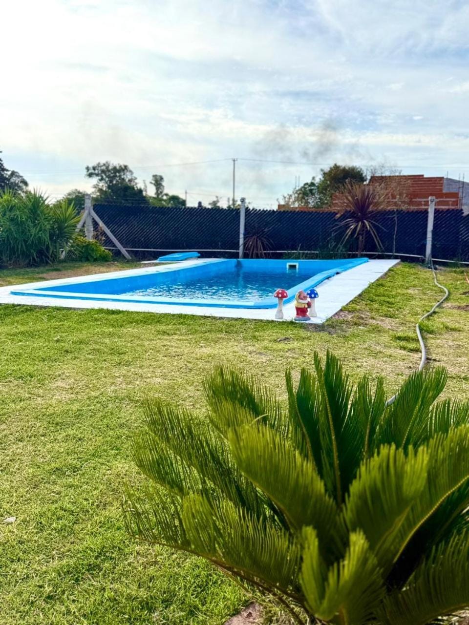Garden, Swimming pool