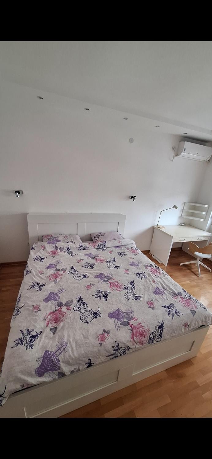 Spacious and comfortable accommodation in the very center of the city Apartment in Belgrade