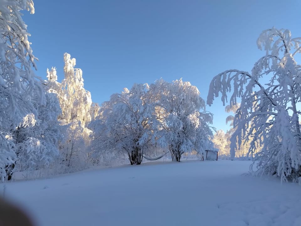 Tunnelmallinen mökki saunalla Chalet in Finland