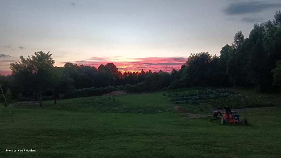 Natural landscape, Garden, View (from property/room), Garden view, Sunset