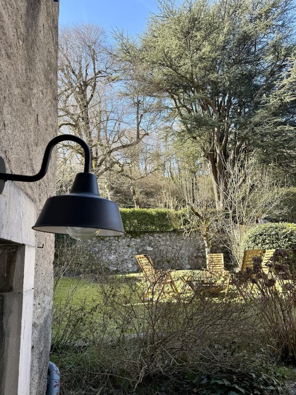 Garden view