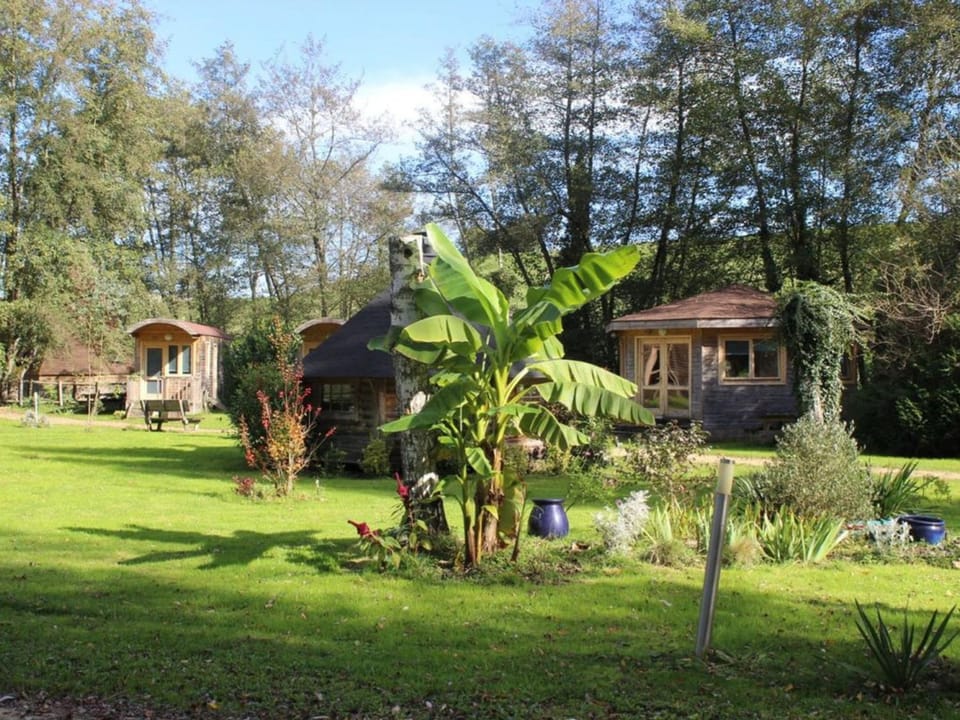 Cabane PMR Adaptée pour 5 Pers. - API-1-52-1700 Campground/ 
RV Resort in Bourgogne-Franche-Comté