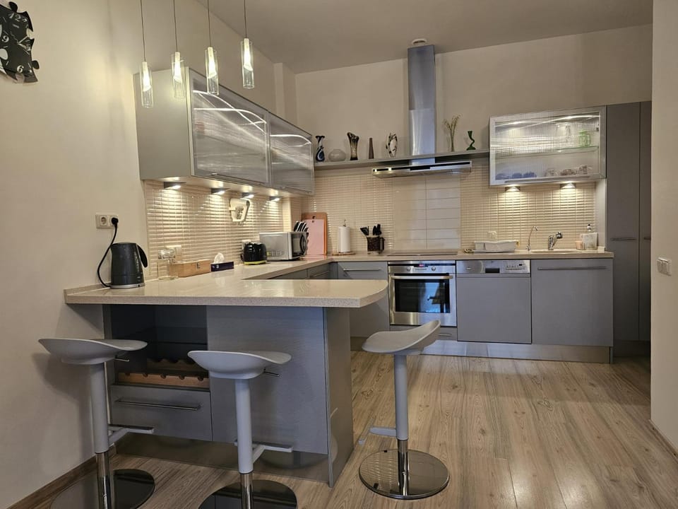 Kitchen or kitchenette, stove, toaster
