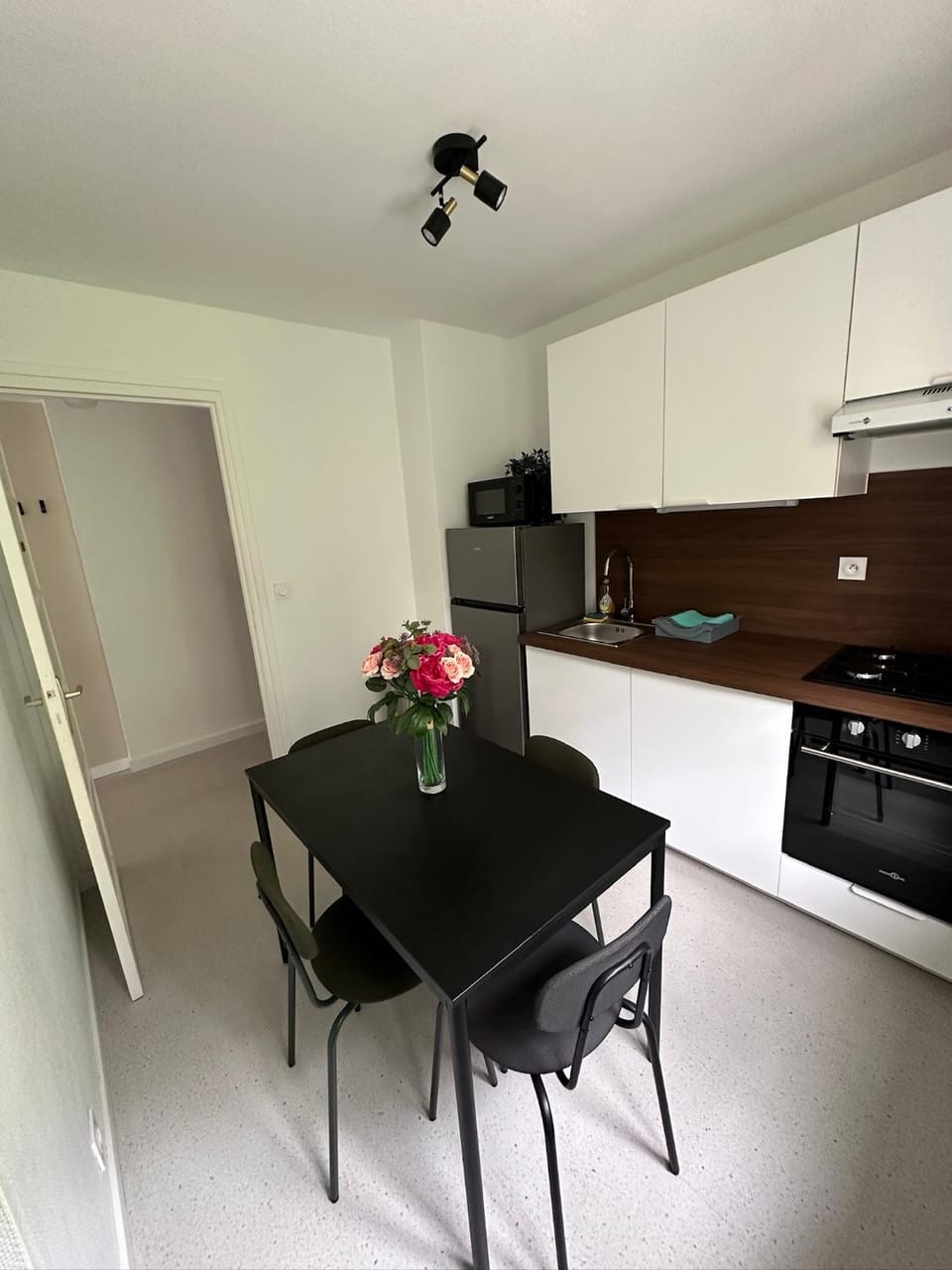 Kitchen or kitchenette, Dining area, oven, stove