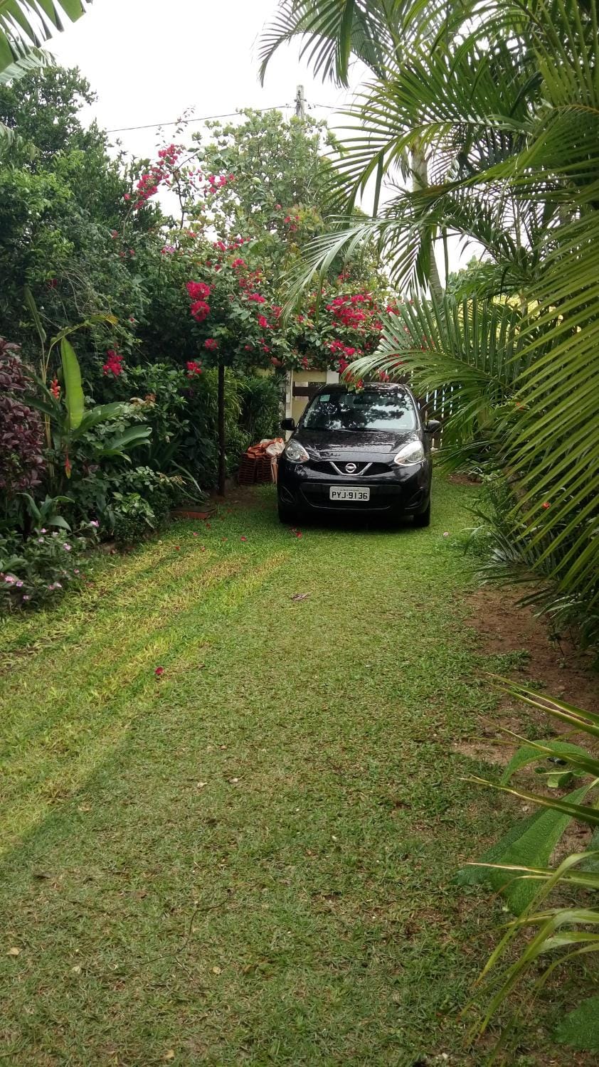 Day, Natural landscape, Garden, Garden view, Parking
