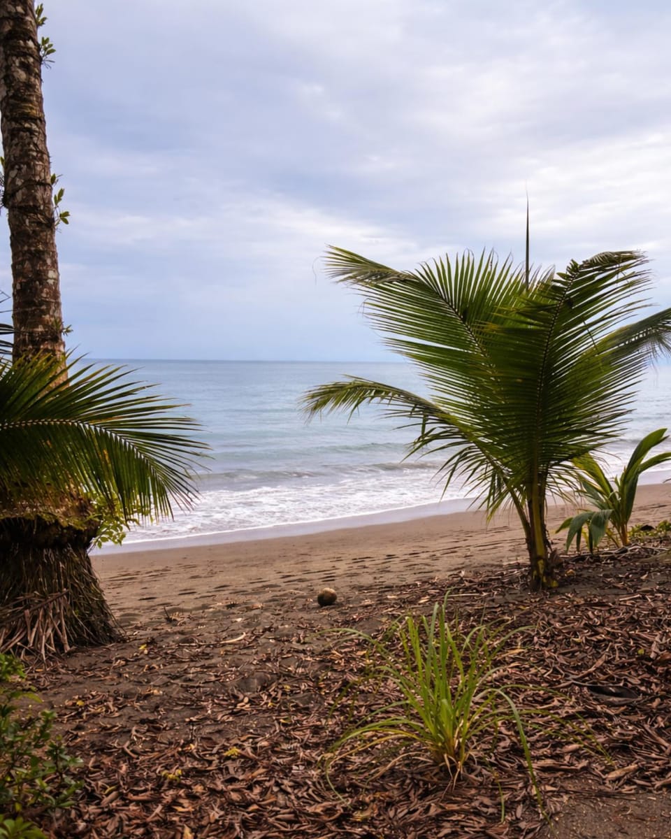 Beach, Sea view