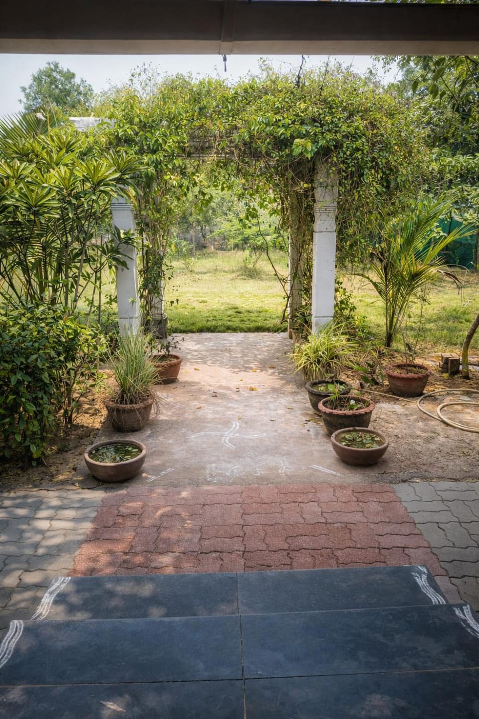 Natural landscape, Garden, Garden view