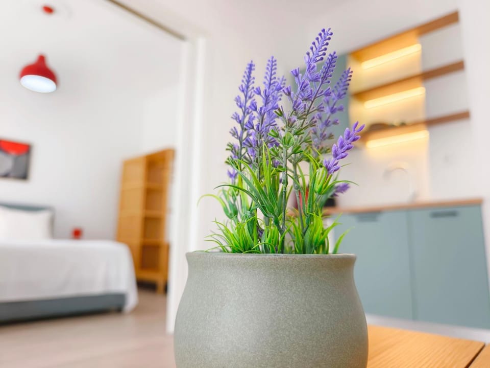 Orient studio 1 Komotini Apartment in Decentralized Administration of Macedonia and Thrace