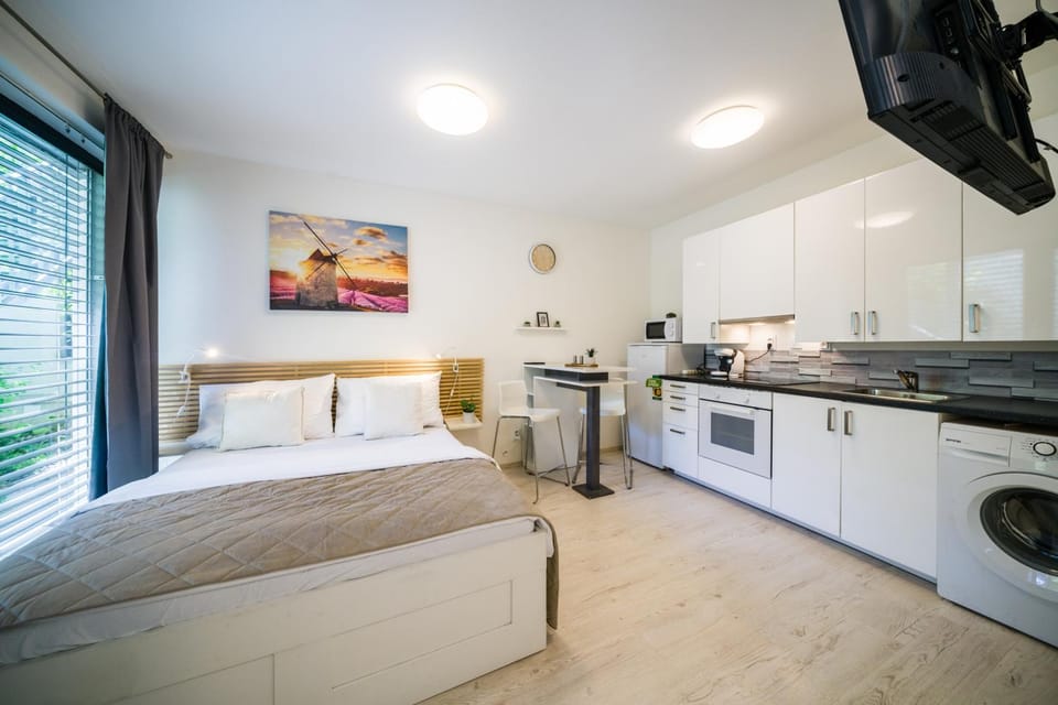 Kitchen or kitchenette, Bedroom, oven, stove, washing machine