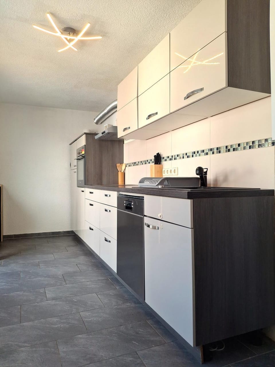 Kitchen or kitchenette, dishwasher, stove