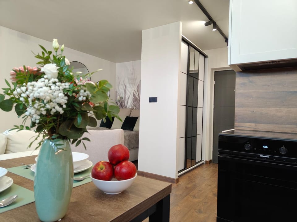 Kitchen or kitchenette, oven, stove