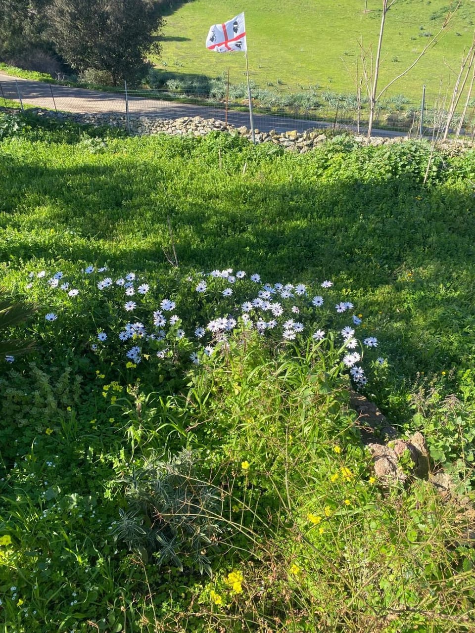 Spring, Garden, Garden view