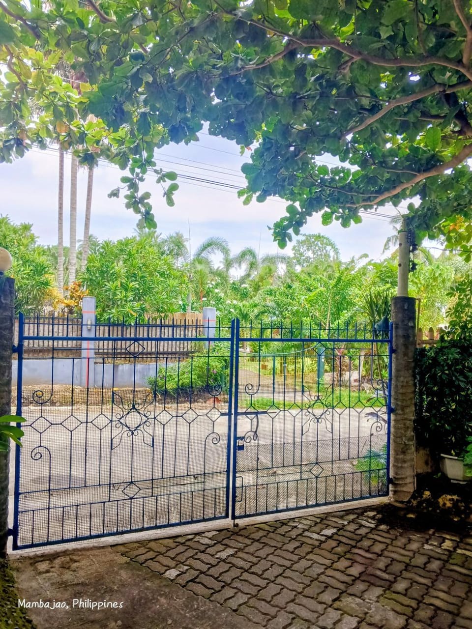 Spring, Day, Garden view, Quiet street view