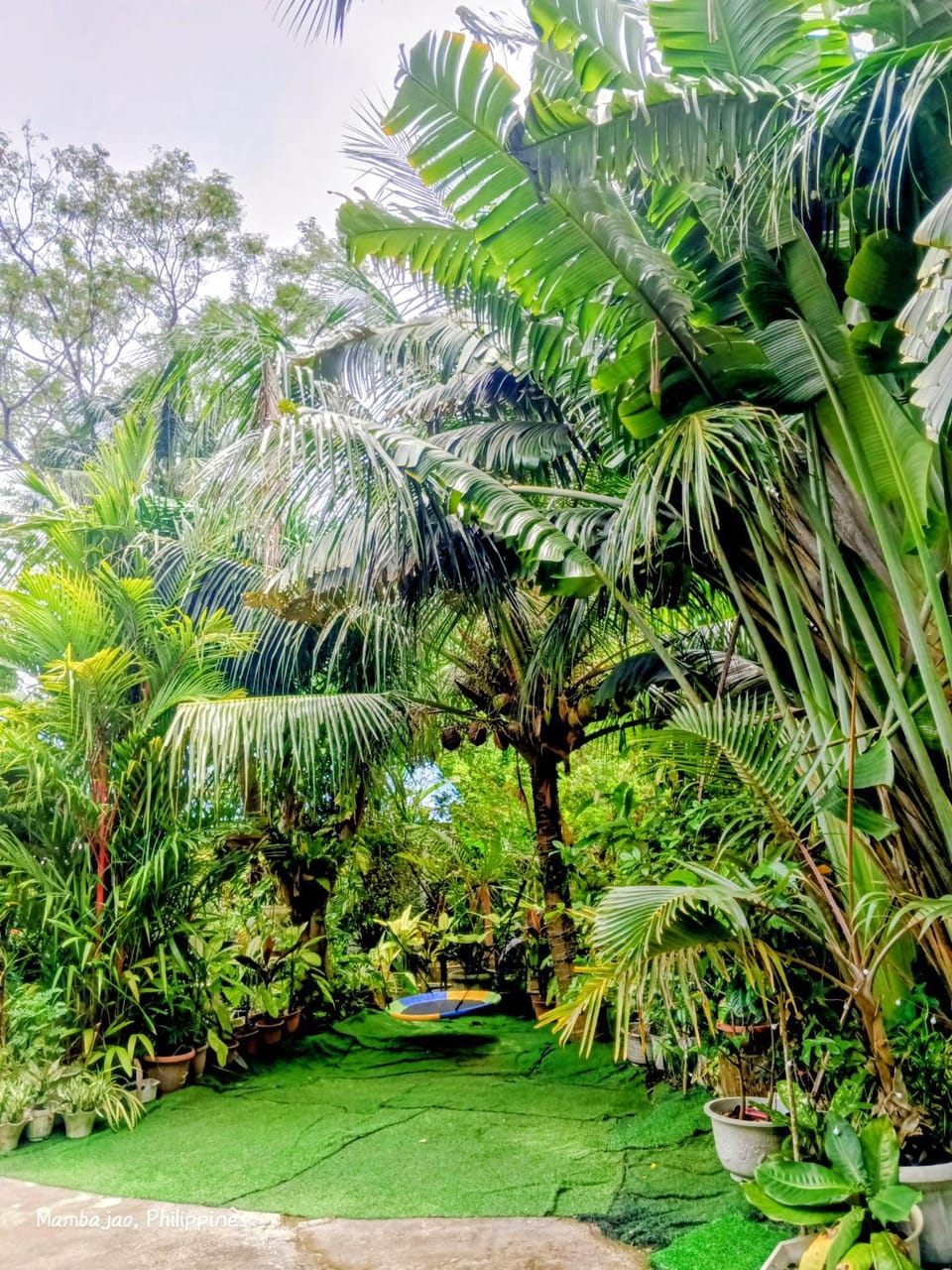 Day, Garden, Garden view