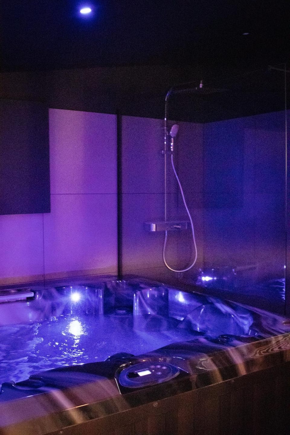 Love room Jacuzzi - Litchi Apartment in Bordeaux