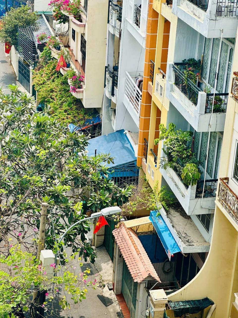 Cosmo Home Bed and Breakfast in Ho Chi Minh City