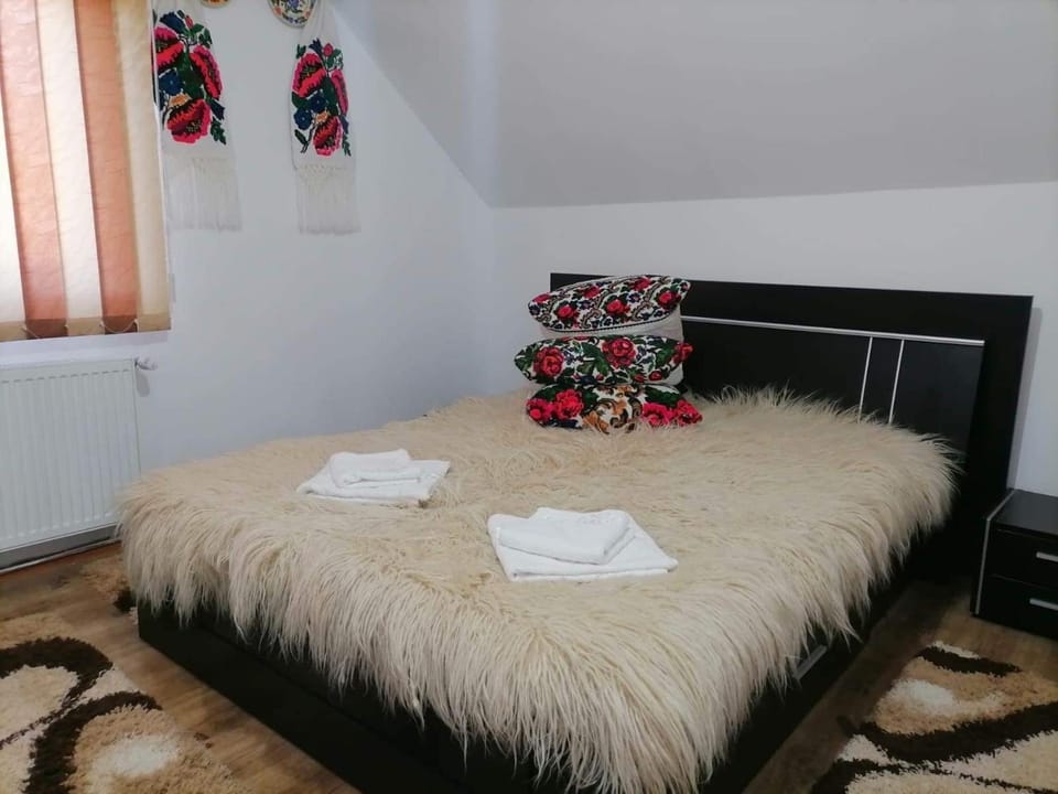 Pensiunea Casa Romanita Vacation rental in Romania