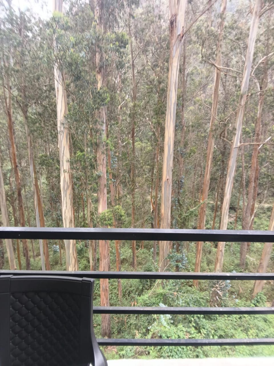 Shola Mist Retreat Vacation rental in Kodaikanal