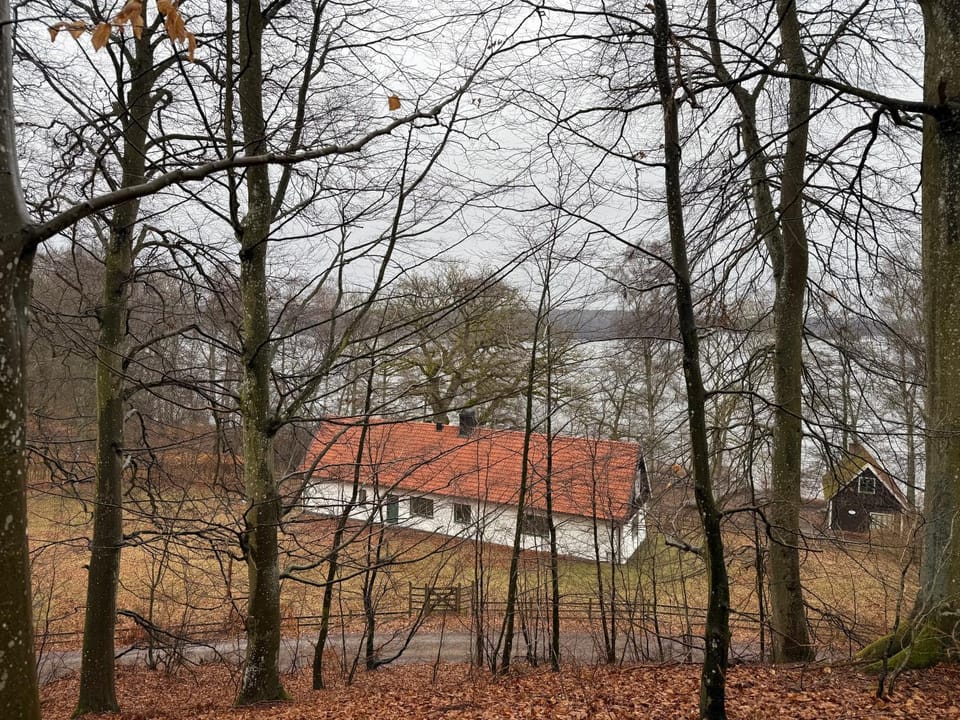 Day, Natural landscape, Lake view
