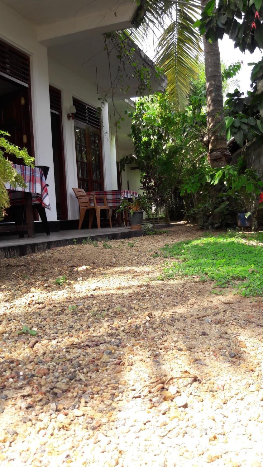 Garden view