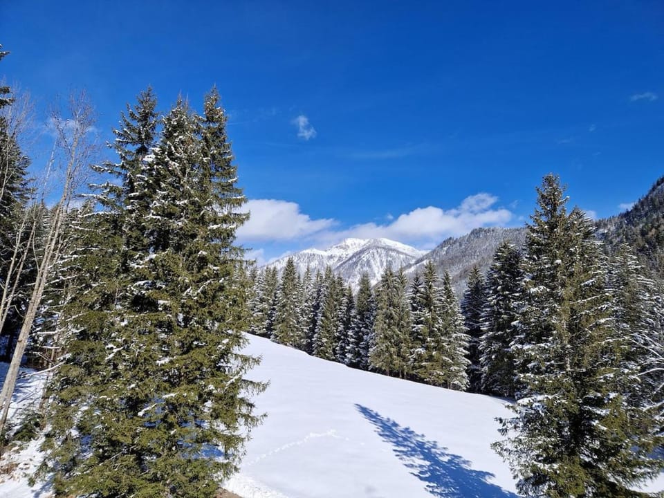 Day, Natural landscape, Winter, View (from property/room), Mountain view