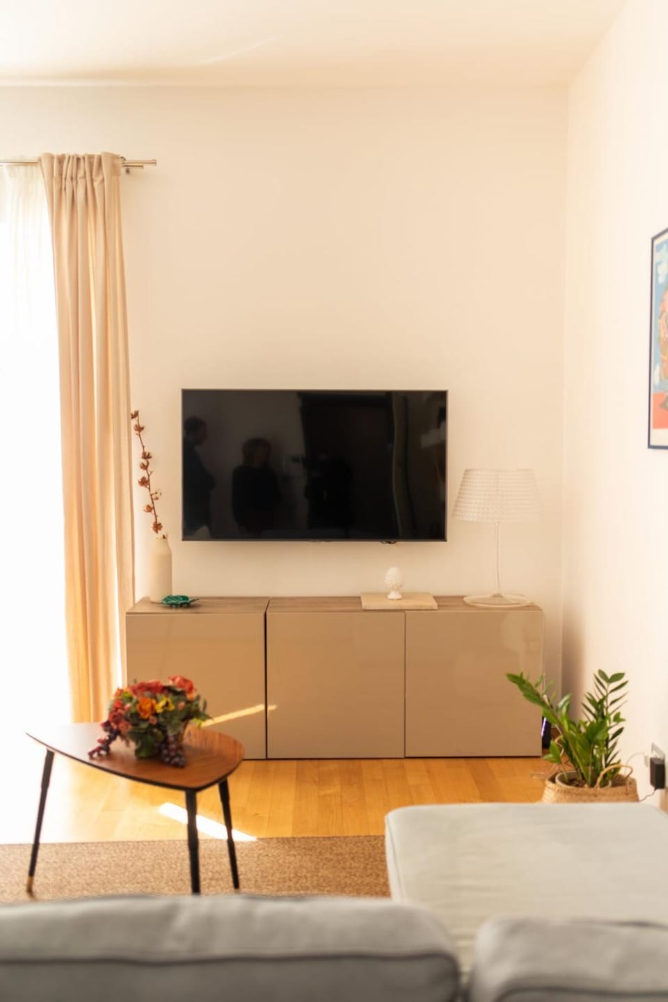 TV and multimedia