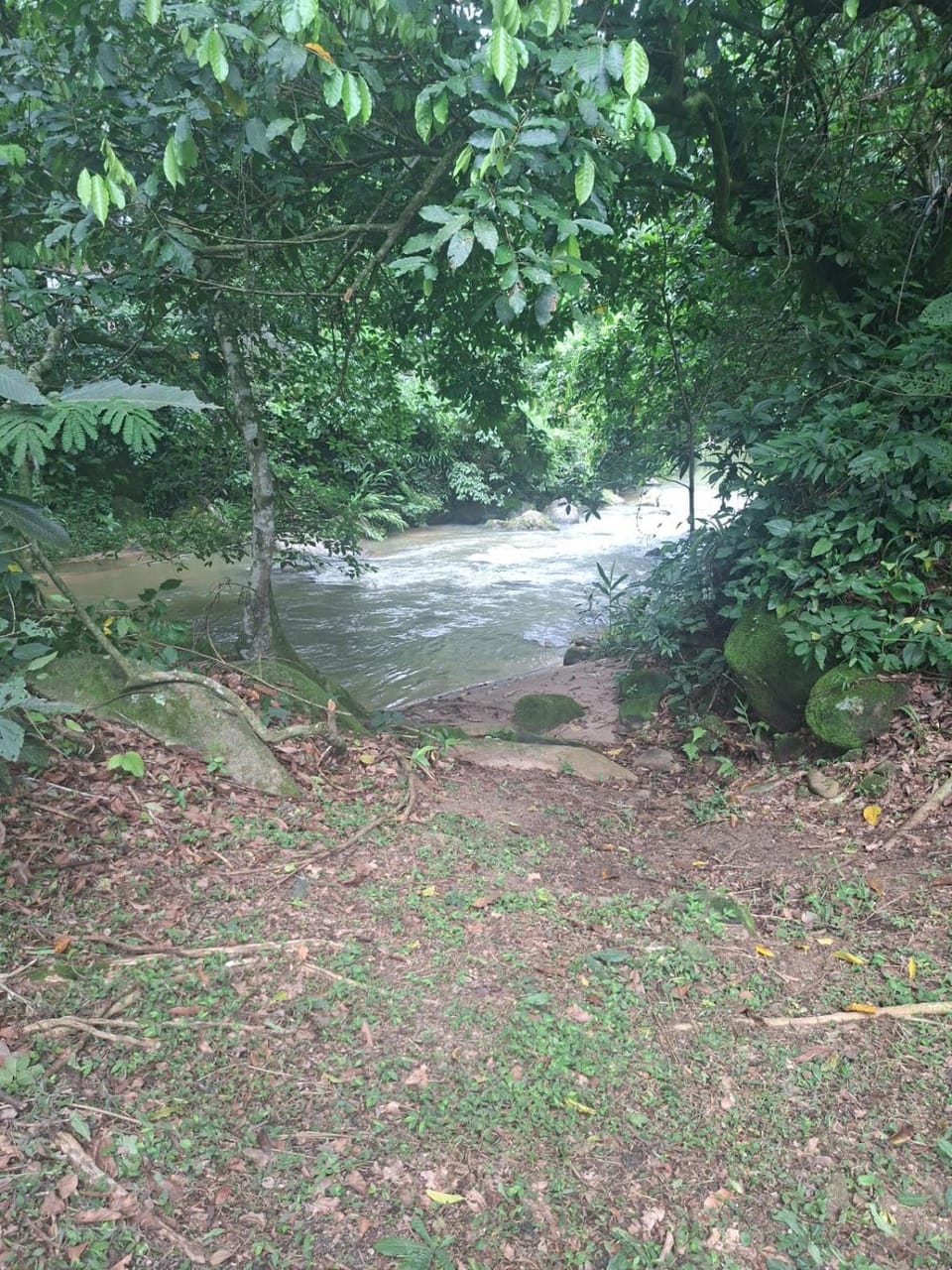 River view