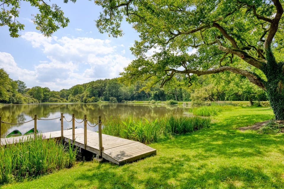 Lake view