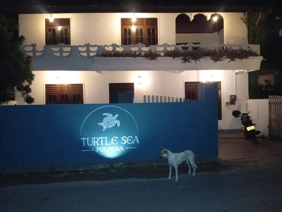 Turtle Sea Polhena Hotel in Southern Province