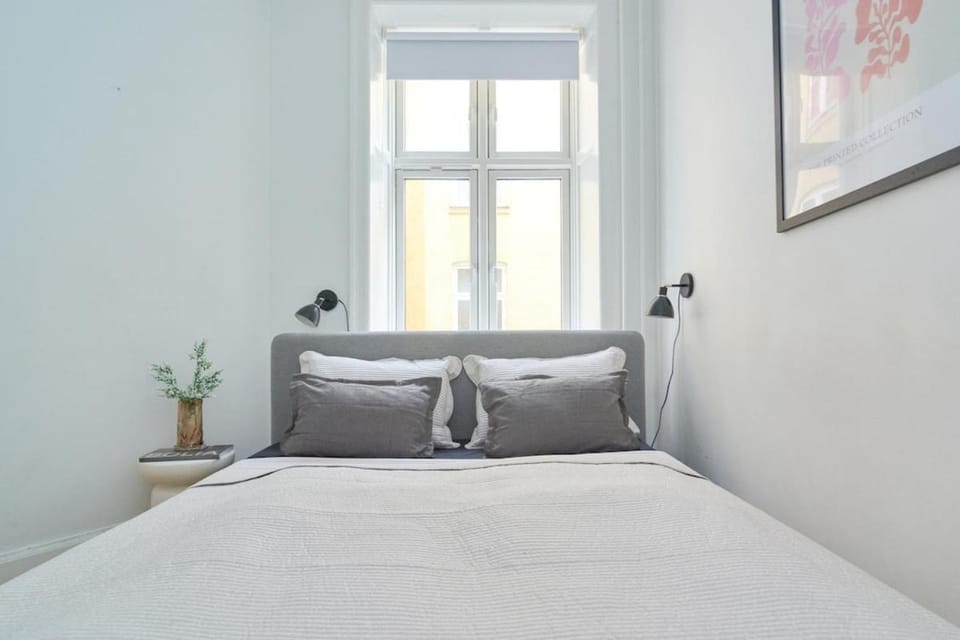 Light and spacious apartment in City-centre Apartment in Copenhagen
