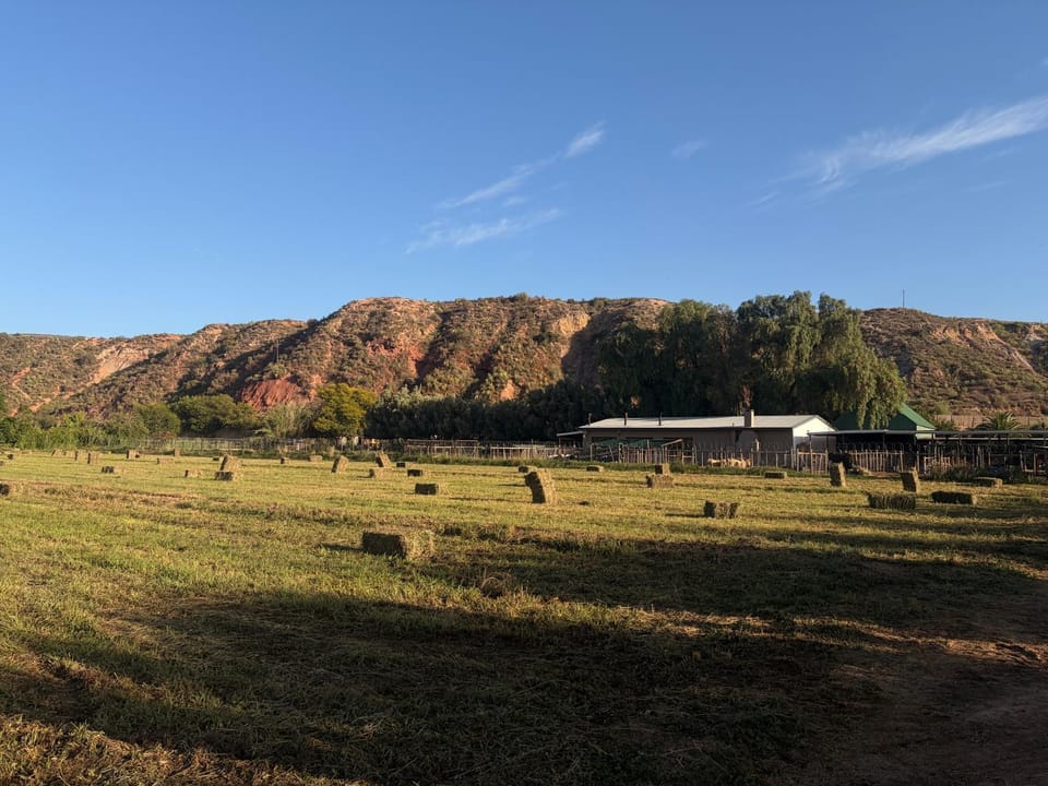 Soeterus Guest Farm Bed and Breakfast in Western Cape