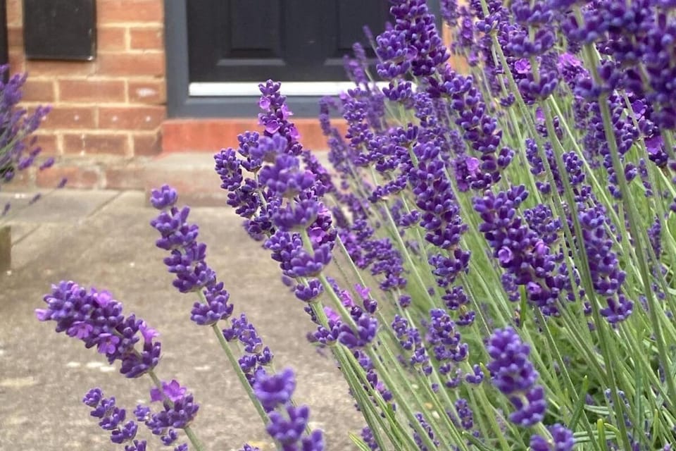 Hambleton Road House in England
