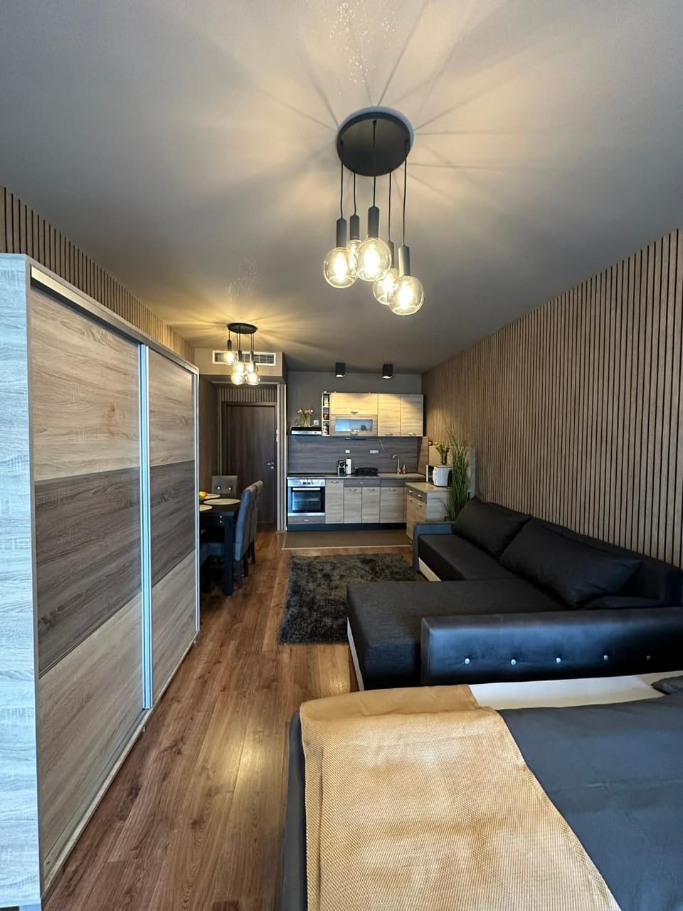 Bed, TV and multimedia, Photo of the whole room, Dining area, microwave, oven, wardrobe, kitchen