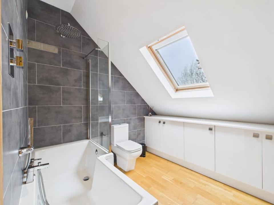 Shower, Toilet, Bathroom, Bath