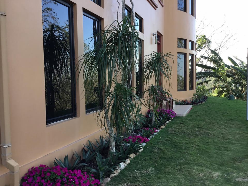 Property building, Facade/entrance, Garden