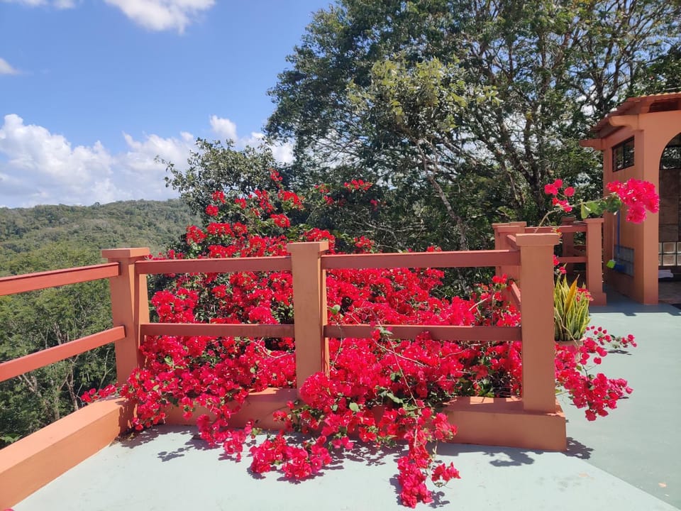 Villa Cayo Country House in Cayo District