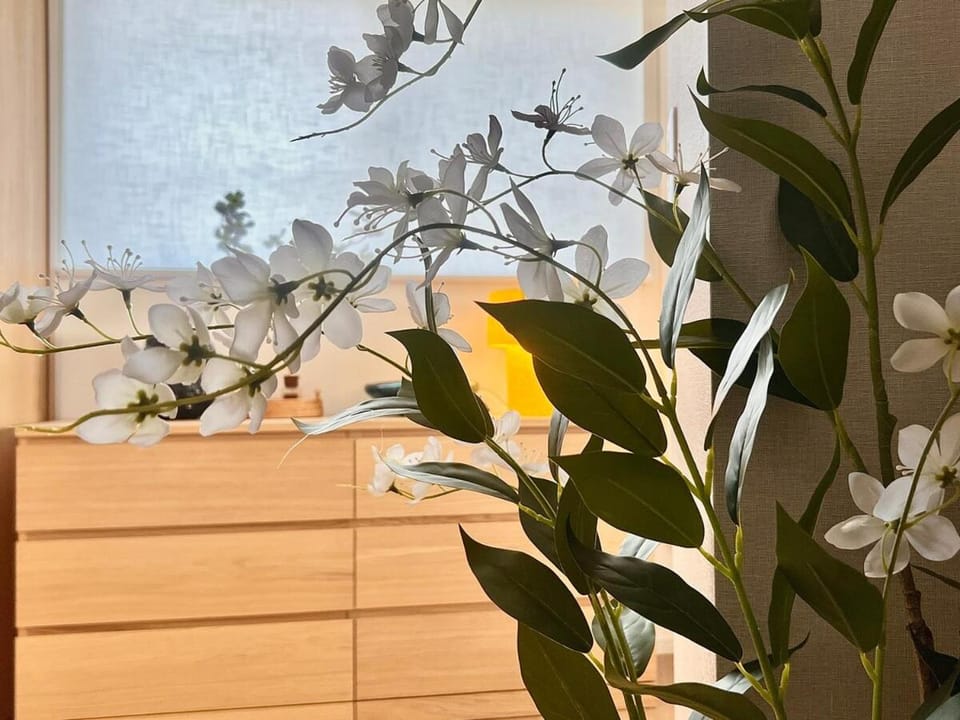 Luxury 2 bedroom suite in Shinjuku, Center Tokyo, Meoa super luxury Dyson & POLA 3 min to Waseda station, Max 4 Apartment in Shinjuku