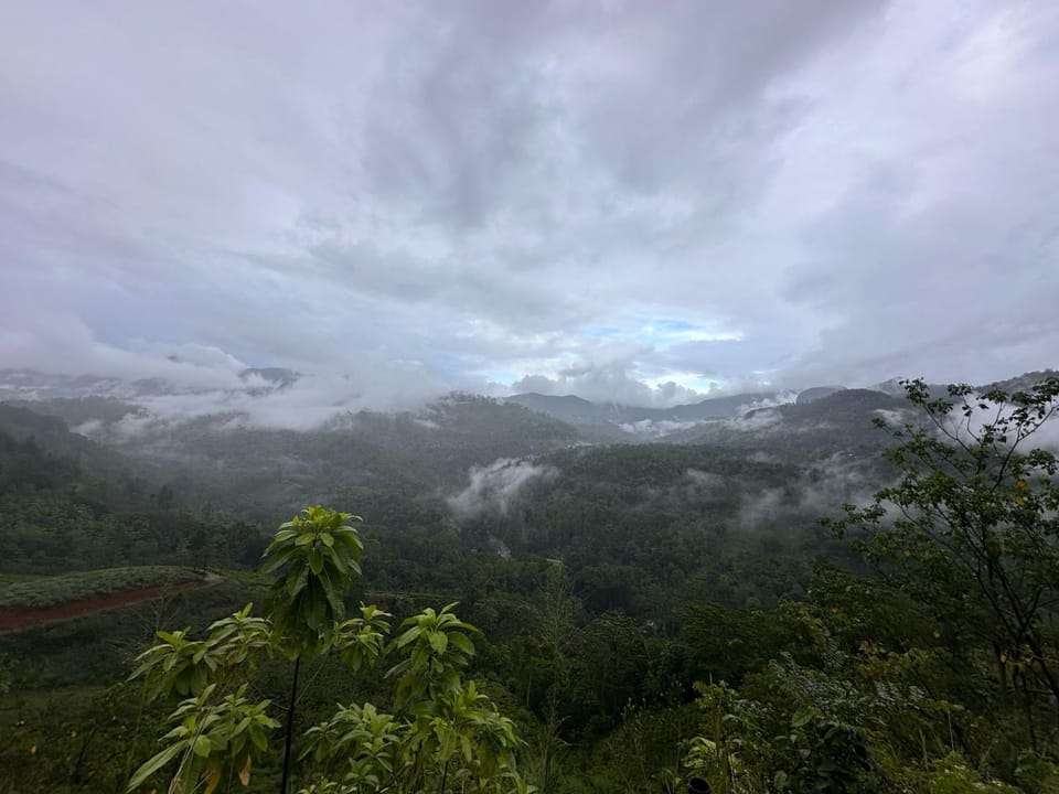 Mountain view