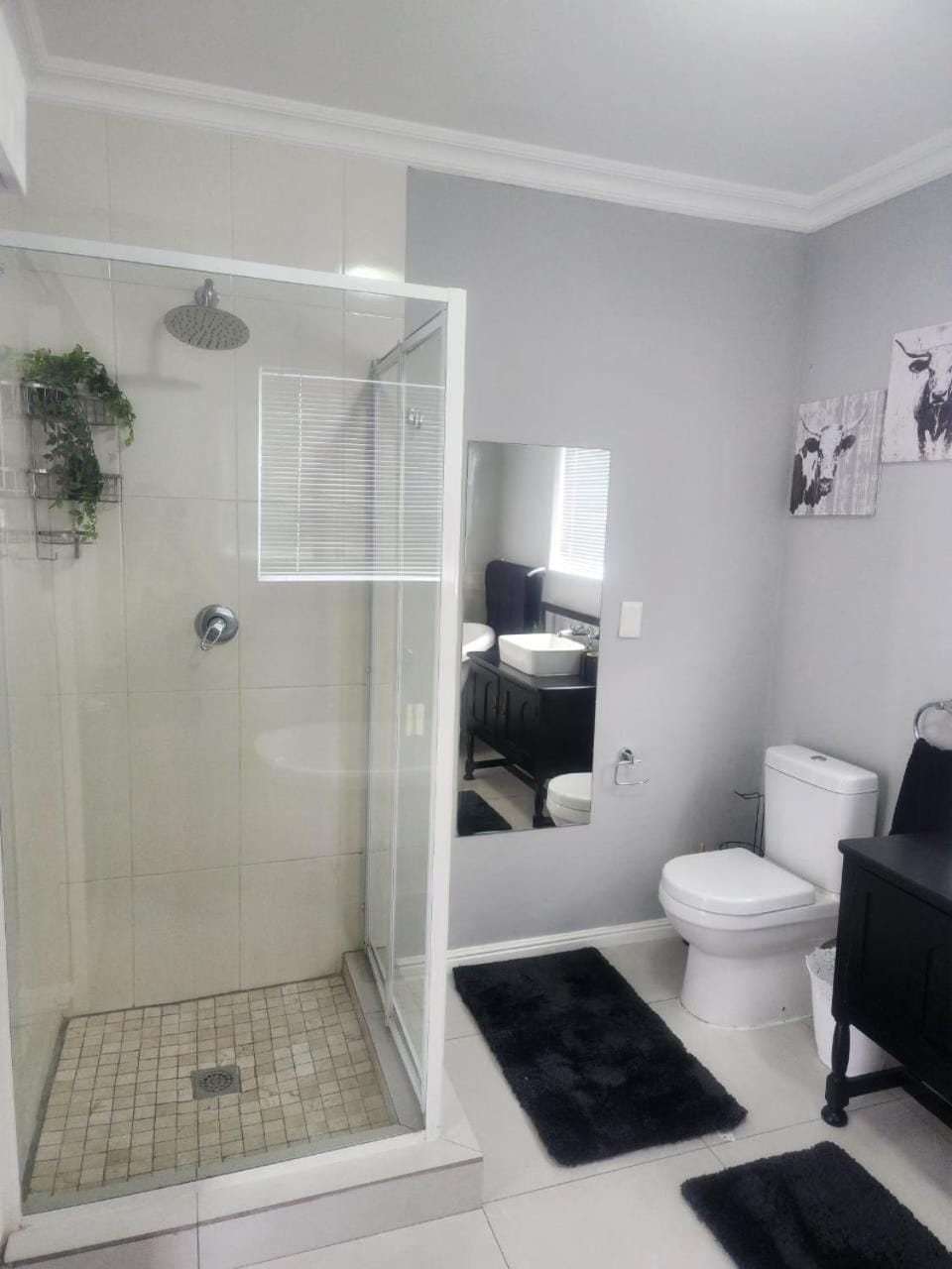 Shower, Toilet