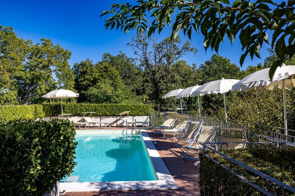 Spring, Garden, Pool view, Swimming pool, sunbed