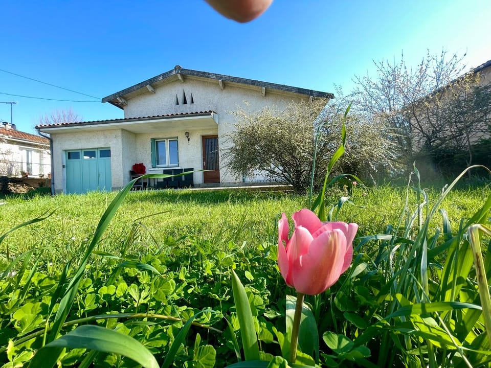 Garden, Garden view