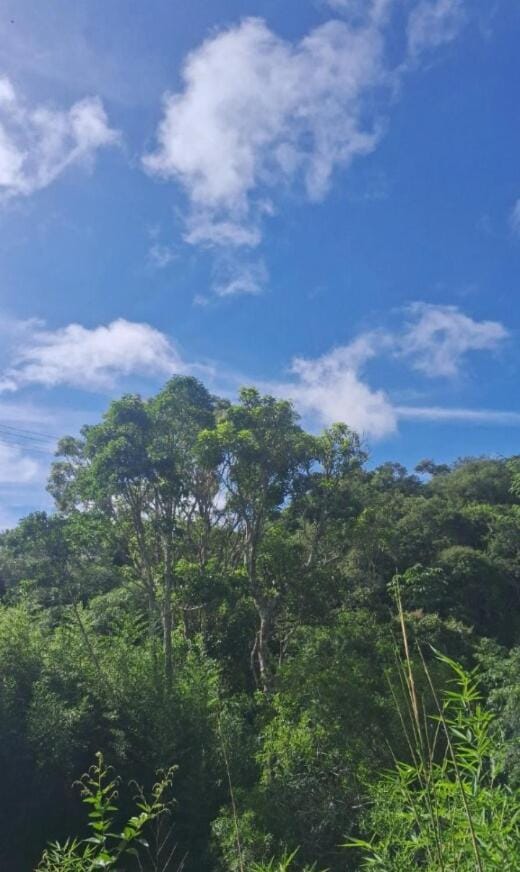 Natural landscape