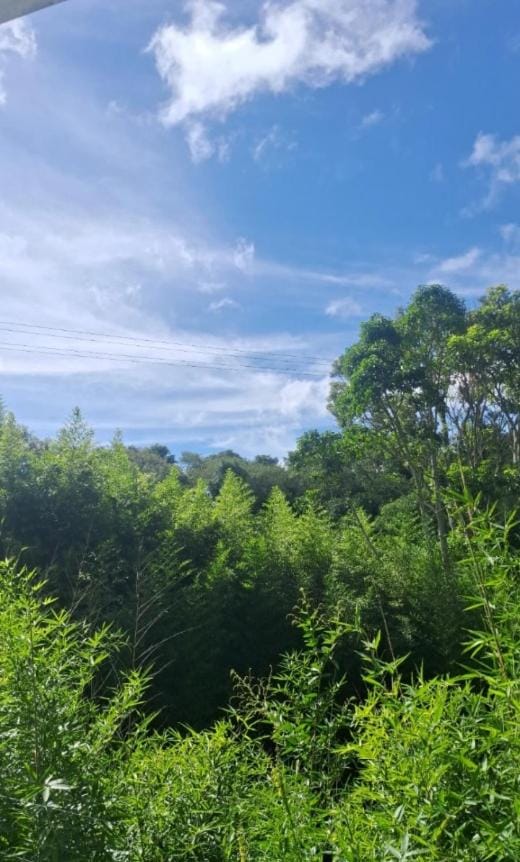 Natural landscape