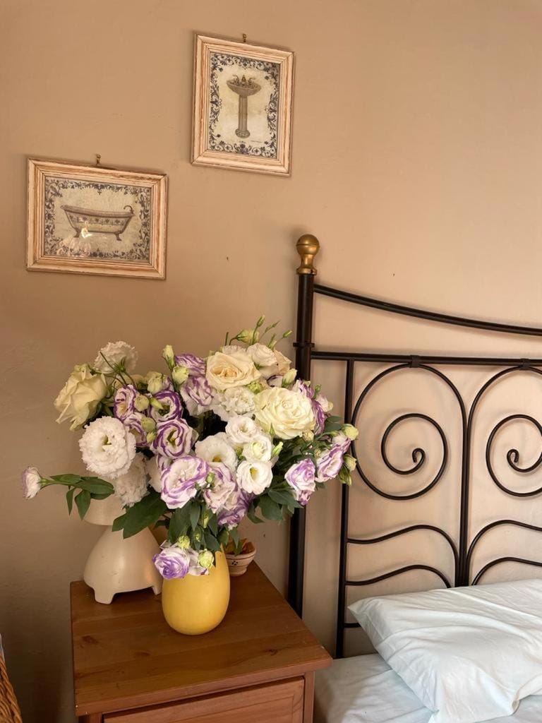 At the Pilgrim's rest Apartment in Province of Massa and Carrara