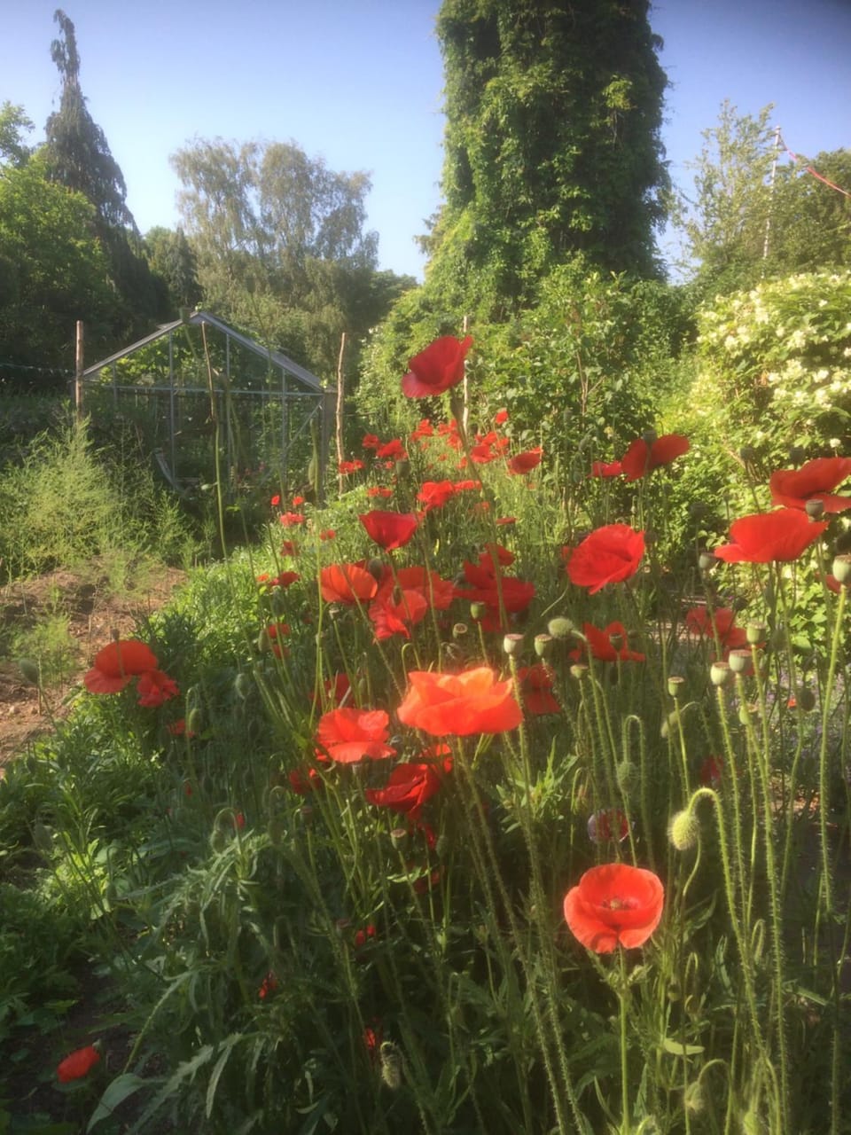 Vejlø Skole - Degnegaarden Apartment in Næstved